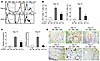 Alloantigen expression on host non-hematopoietic cells stimulates PD-1 and