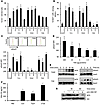 TDEs determine STAT3 activation, while TDSFs determine MDSC expansion.