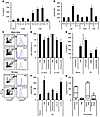 TDEs trigger pStat3 expression in MDSCs through autocrine production of IL-