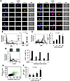 KSHV-infected B cells resemble MCD plasmablasts.