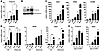 Expression of Prdm16 and a brown fat–like gene program in subcutaneous adip