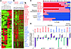 Characteristics of genes and cell lines chosen for shRNA screen.