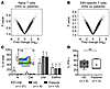 Naive and virus-specific T cells show no significant differences between me