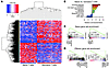 Gene expression of naive and effector T cells from peripheral blood.