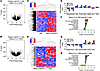 Gene expression of circulating CD8+ T cells depending on antigen specificit