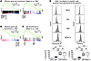 Circulating tumor-specific T cells are late-differentiated effector cells,