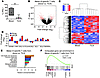 Exhaustion profile of tumor-specific T cells in situ.