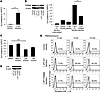 A missense mutation in PSMB8 hyperactivates B cells.