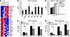 Top 34 differentially expressed genes in IM-9-JAK1-KO compared with control