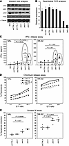 Analysis of IM-9 cells expressing shRNAs targeting JAK2.