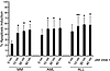 Induction of apoptosis in primary tumor cells by NK cells after treatment w