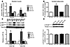 CR enhances ex vivo insulin-stimulated skeletal muscle glucose uptake and A