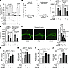 FPS-ZM1 and FPS2 block RAGE-mediated Aβ BBB transport, Aβ pathology, and fu