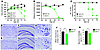 Overexpression of mutant TDP-43 in neurons causes progressive paralysis in