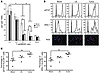 CD14+HLA-DR–/lo MDSC from blood, LNs, and tumor suppress autologous T cell