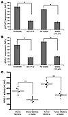 Inhibition of pSTAT3 decreases the expression and the activity of ARG1 on C