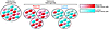 Hypothetical model explaining the origins of intertumor and intratumor hete