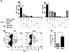 Cytokine secretion and T cell proliferation in mouse aorta.