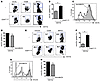 oxLDL and mmLDL uptake and foam cell formation in mouse CD11b+ aortic macro