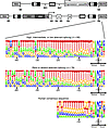 Analysis of the strength of the constitutive SA signals in the introns targ