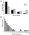 Detection of MCPyV in MCC.