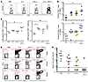 IL-2 therapy combined with PD-L1 blockade enhances antiviral CD8 T cell res