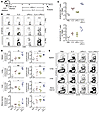 Combined IL-2 therapy and PD-L1 blockade enhance antiviral CD8 T cell respo