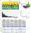 Somatic mutation landscape across the coding genes (exome) in SI-NETs.