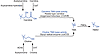 Examples of microbial enzymes that generate TMA, using choline