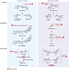 Mechanisms of direct microbial interference with select therap