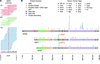 ARAF mutation found in a sorafenib-responsive lung adenocarcinoma defines a