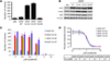 ARAF p.S214 mutations found in lung adenocarcinoma are oncogenic and sensit