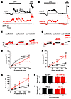 miR-7a controls exocytosis in primary pancreatic β cells.