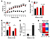 Adaptive changes of miR-7a levels in human pancreatic islets exposed to an