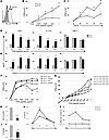 PD-1H inhibits antigen-specific CD4+ T cell responses in vitro.