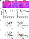 PD-1H–KO mice are resistant to the growth of GL261 glioma.