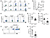 Anxa1–/– mice have reduced Mtb antigen–specific CD8+ T cell re