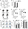 Expression of annexin1 in T cells is not required for resistan