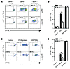 Annexin1 regulates cross-presentation in DCs.