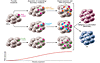 Clonal architecture and evolution of PNH.