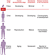 Interpretation of the major biological roles of the microbiome