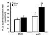 VLDL apoB100 kinetics.