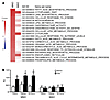 Adipose tissue gene expression profile.