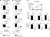 miR-142 KO T cells altered in cytokine expression and proliferative respons