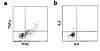 CMV-specific CD4+ T cells display a Th1 cytokine secretion pattern (arbitra