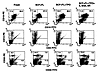 The expression of CD10, CD19, CD3, CD13, CD33, and CD34 on human CD45+ cell