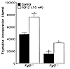 Comparison of thymidine incorporation into DNA in calvarial osteoblasts fro