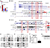 FOXC1 and FOXC2 regulate lymphatic vessel development by controlling the Ra