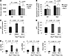 MIF promotes glucose uptake and ATP generation in renal epithelial cells an