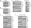 MIF regulates renal epithelial cell proliferation through activation of ERK